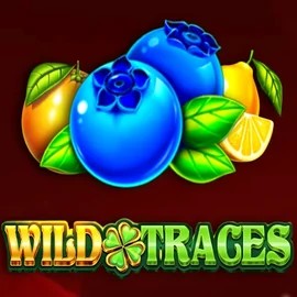 Play the Wild Traces slot by Amusnet Interactive on Dracula Casino